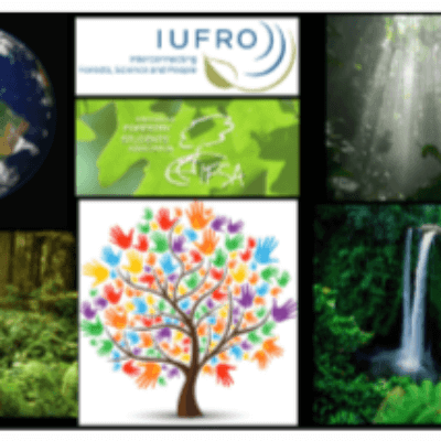 IUFRO-collage.png